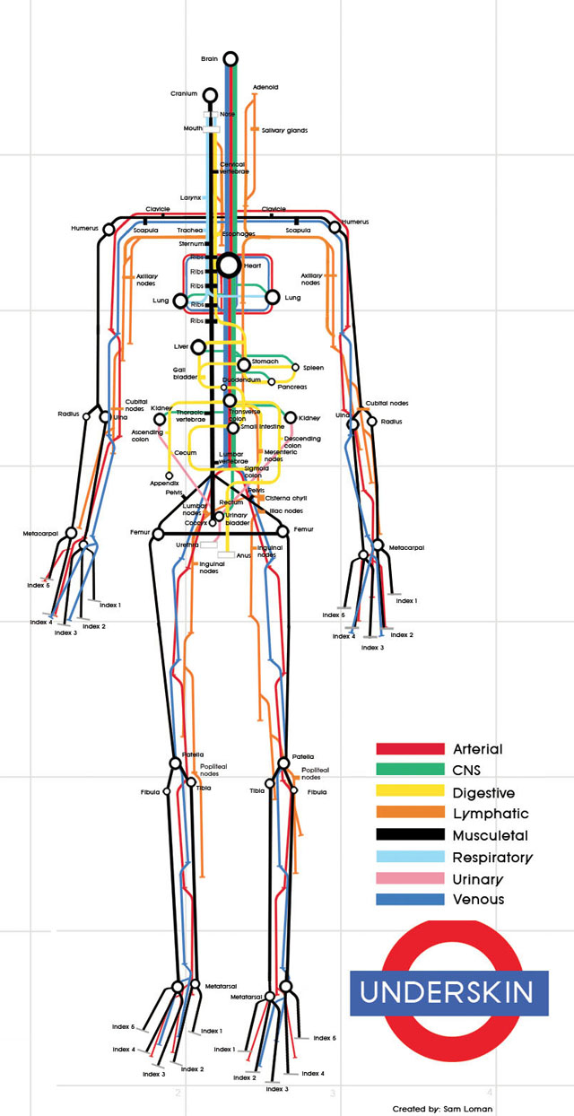 
							
								The systems of the body represented as a subway map shaped like a person
							
							